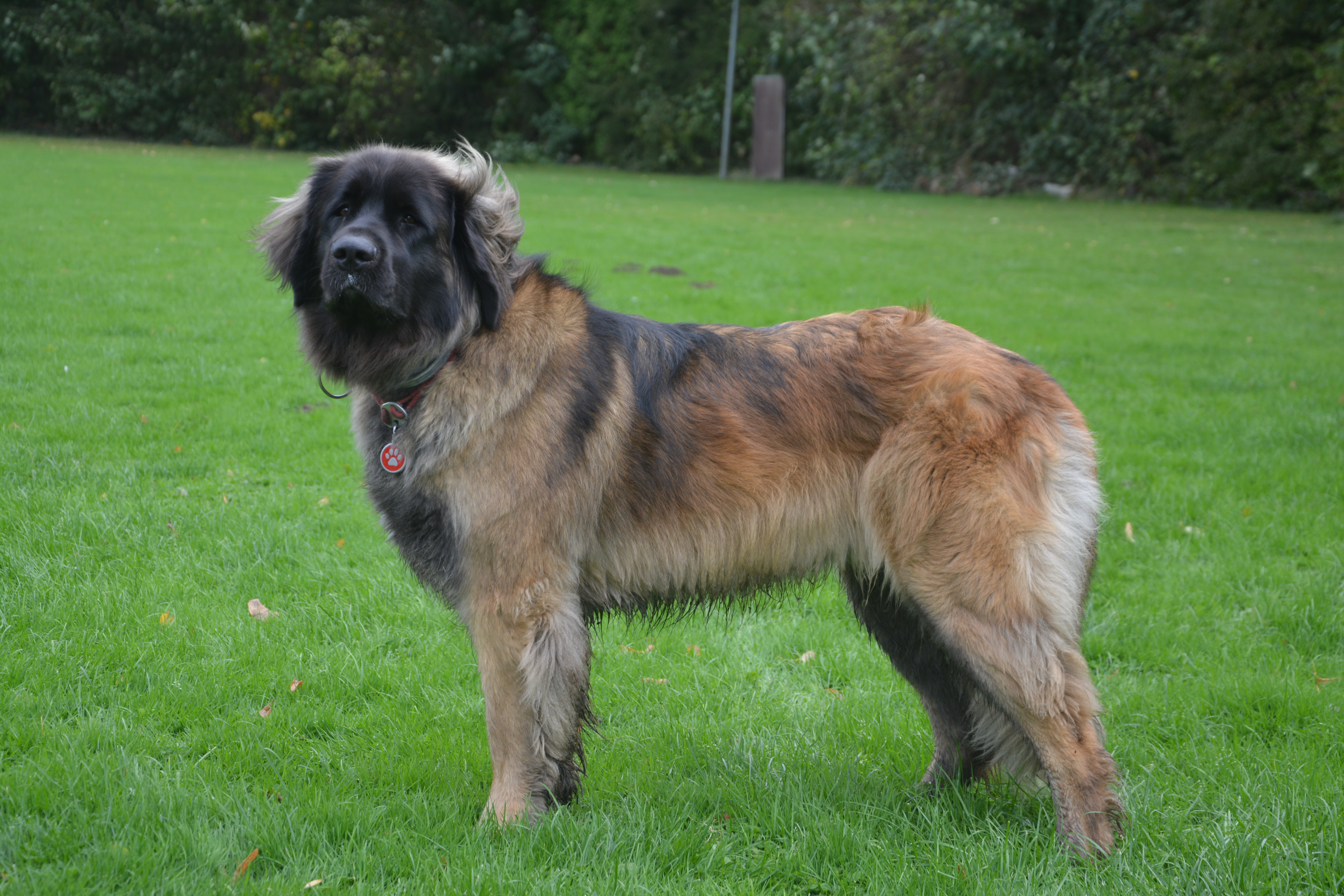 Way of Love Baby von der Landwehr 2